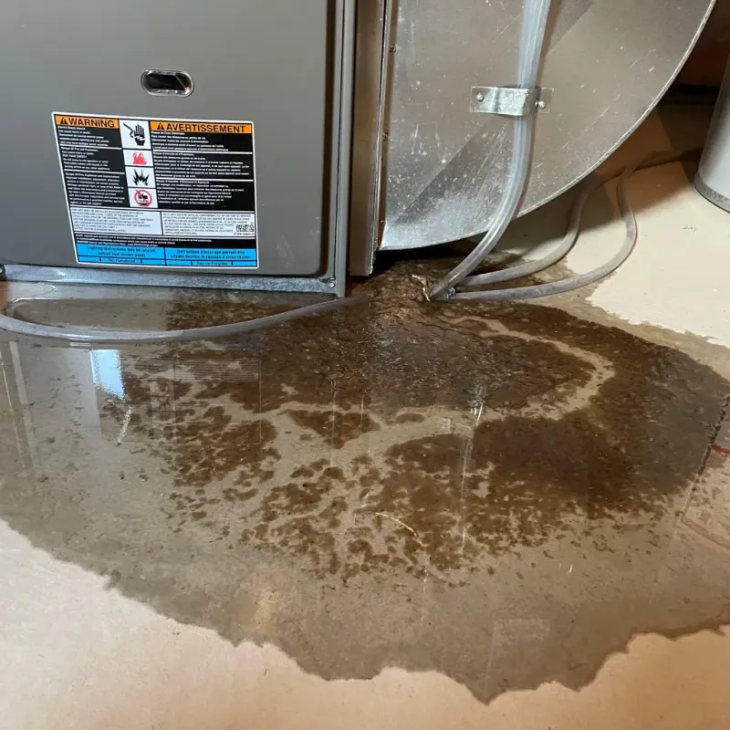 Appliance Leak Cleanup in Salem, IL