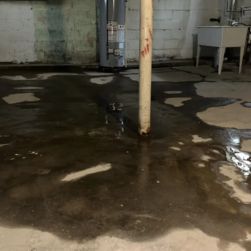Emergency Water Extraction And Removal in Salem, IL